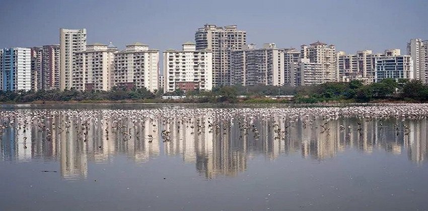 Real Estate To Get A Boost After Vaccine Permitted To All Above 18 Years: Experts